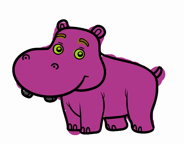 Hipopótamo joven