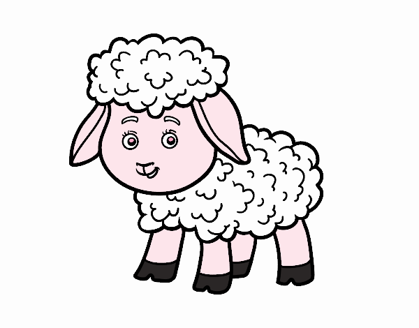 Dibujo Una ovejita pintado por Danna03