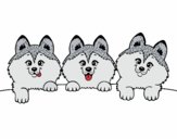 Dibujo 3 perritos pintado por viki820