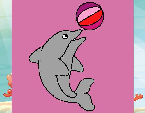delfin con pelotas