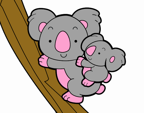 la mama koala