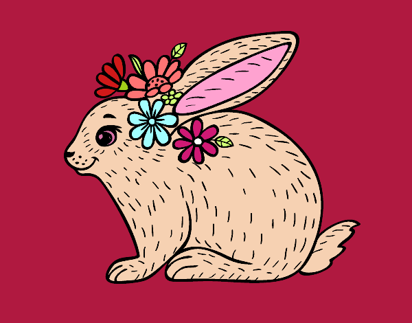 Conejo primaveral