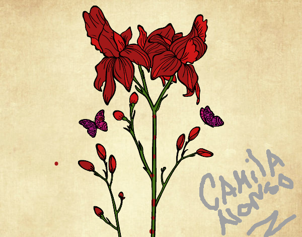 Dibujo Flor de Iris pintado por CamuAlonso