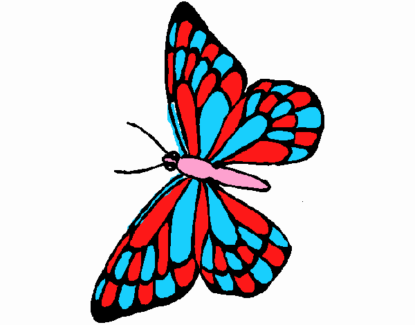 Mariposa 10