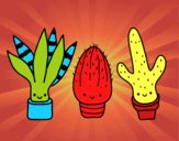 Dibujo Mini cactus pintado por marcostano