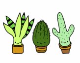 Dibujo Mini cactus pintado por sheyla1