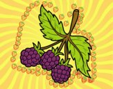 201729/rama-de-frambuesas-comida-frutas-pintado-por-wilcam-11068153_163.jpg