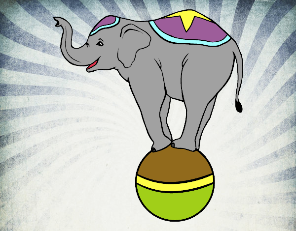 Dibujo Elefante equilibrista pintado por elwaht
