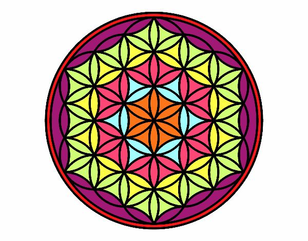 Dibujo Mandala flor de vida pintado por emilili
