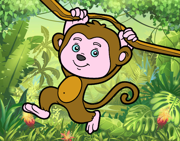 el mono mas ono del mundo