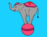 Dibujo Elefante equilibrista pintado por vale26