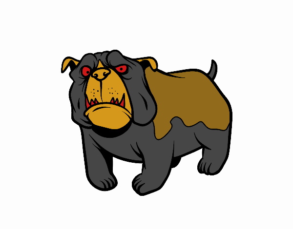 Perro bulldog inglés