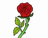 201733/rosa-silvestre-naturaleza-flores-pintado-por-gaty111-11107442_163.jpg