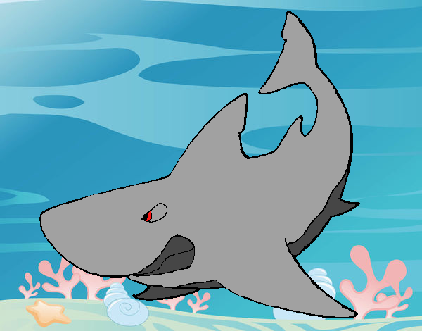 Dibujo Tiburón enfadado pintado por wuilde 