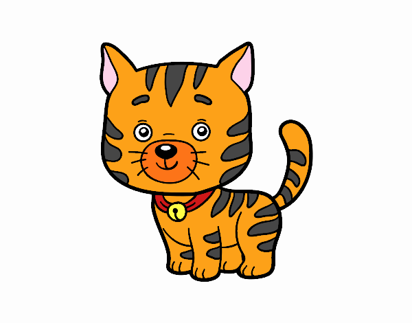 Dibujo Un gato doméstico pintado por gaty111