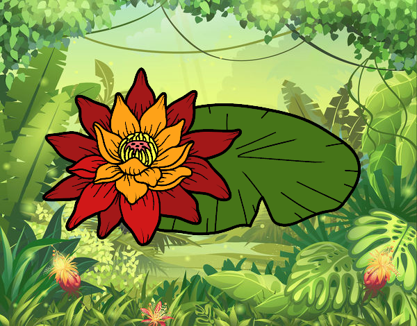 Dibujo Una flor de loto pintado por joselin10