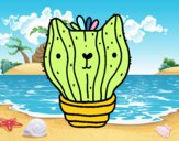 201735/cactus-gato-naturaleza-flores-11116442_163.jpg