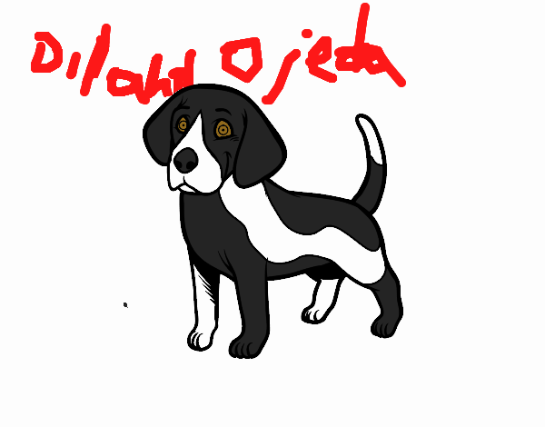 Dibujo Perro Beagle pintado por diland
