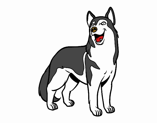Dibujo Perro lobo pintado por juanrhlm