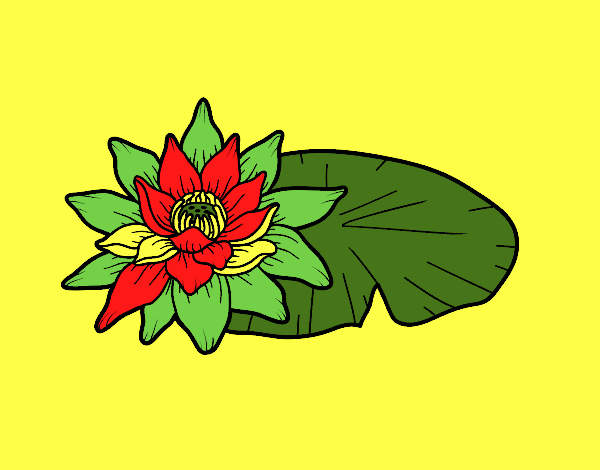 Dibujo Una flor de loto pintado por residencia