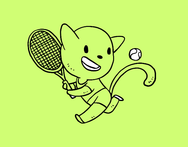 Gato tenista