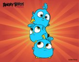 Dibujo Las crias de Angry Birds pintado por Freddy25
