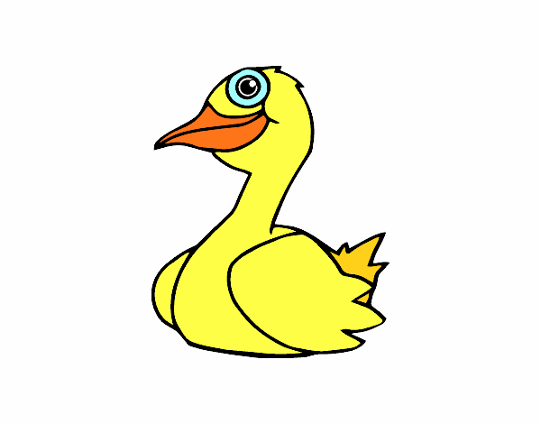 Un pato
