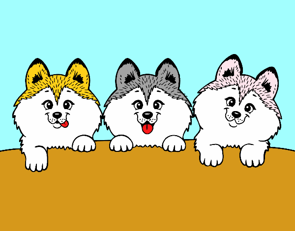 Dibujo 3 perritos pintado por Sosa2005