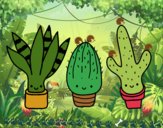 Dibujo Mini cactus pintado por FoxyGamer