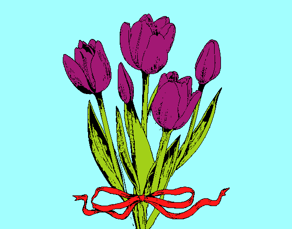 los tulipanes