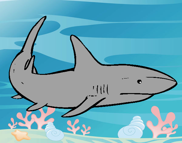 Dibujo Un tiburón nadando pintado por fact