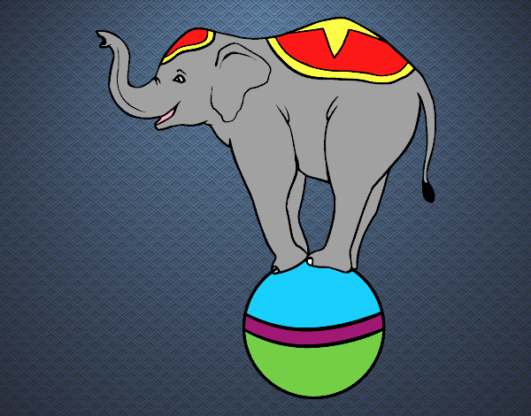 Dibujo Elefante equilibrista pintado por SILUFU