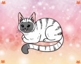 201741/gato-joven-animales-gatos-pintado-por-super64-11165484_163.jpg