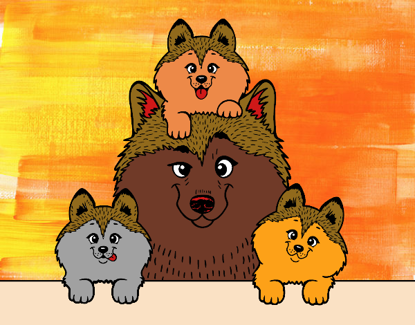 los tres cachorritos