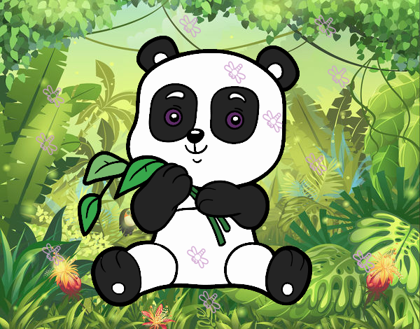 el panda adorable