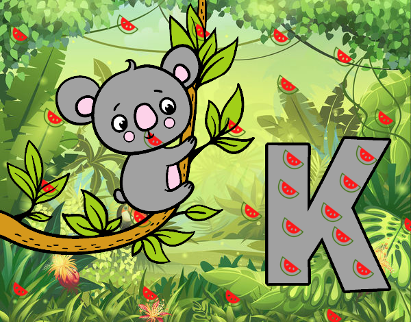 K de Koala