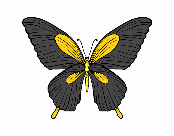 Dibujo Mariposa tropical pintado por Edurne2012
