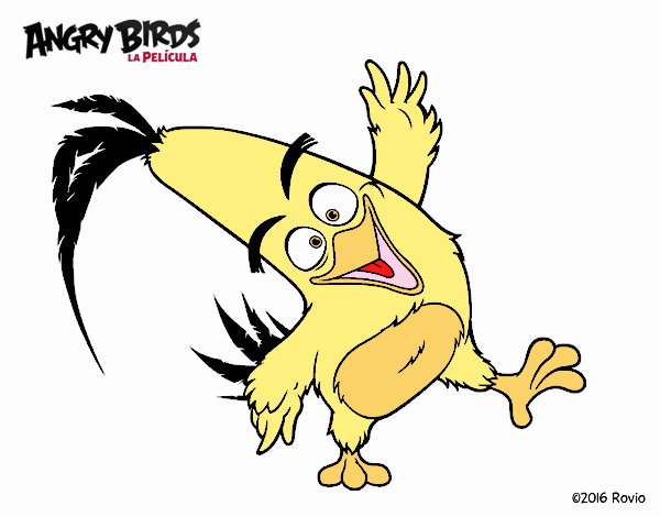Dibujo Chuck de Angry Birds pintado por edduar1