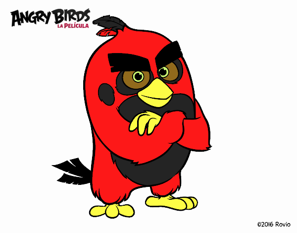 Dibujo Red de Angry Birds pintado por edduar1