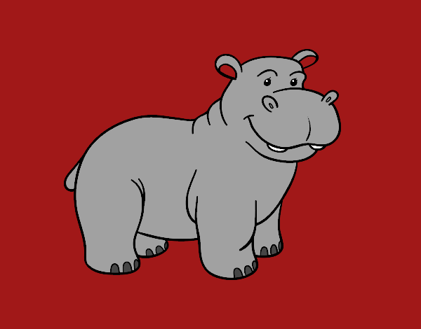 Un hipopótamo africano