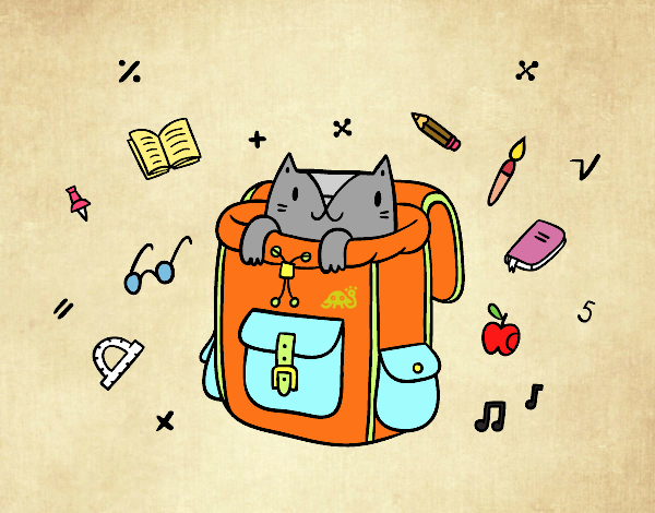 Gato dentro de una mochila