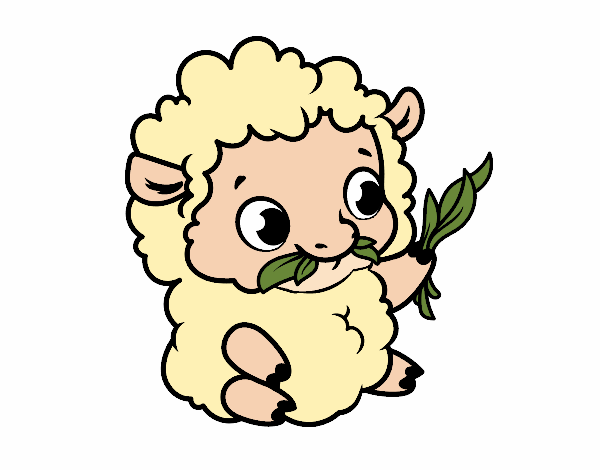 bebe oveja dibujado por sara