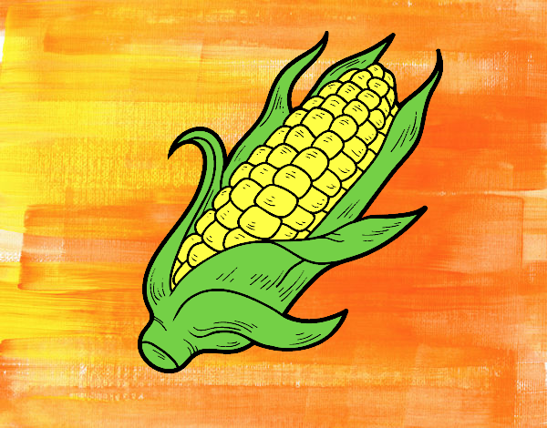 Dibujo Una mazorca de maíz pintado por cuarzoazul