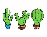 Dibujo 3 mini cactus pintado por Sofia12420