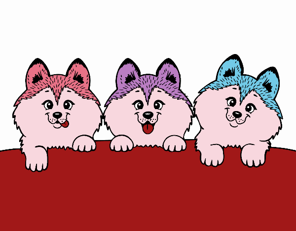 Dibujo 3 perritos pintado por SaritoYu