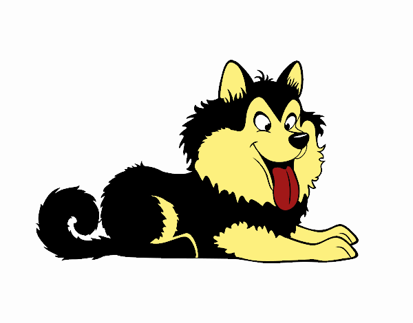 Dibujo Husky cachorro pintado por SaritoYu
