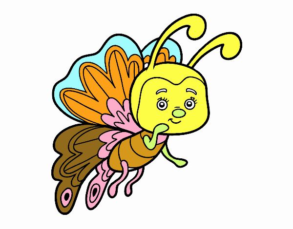 Mariposa coqueta