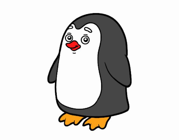 Dibujo Pingüino antártico pintado por David102