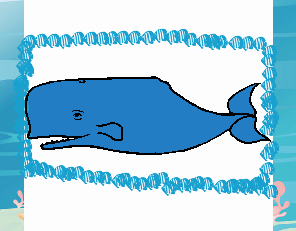 la ballena azul