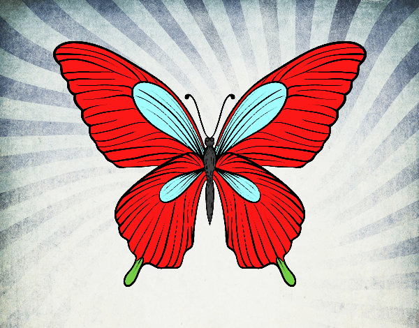 Dibujo Mariposa tropical pintado por Edurne2012